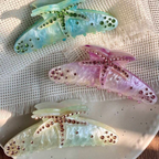 Starfish Hair Claw - Pink