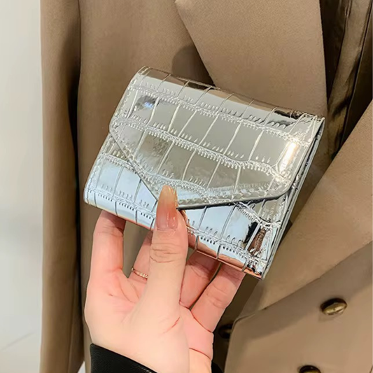 Silver Wallet